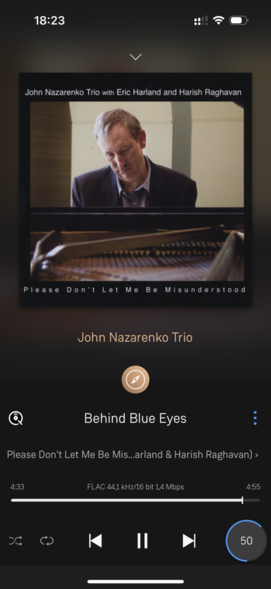 Es Spielt John Nazarenko Trio das Lied Behind Blue Eyes